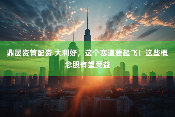鼎晟资管配资 大利好，这个赛道要起飞！这些概念股有望受益